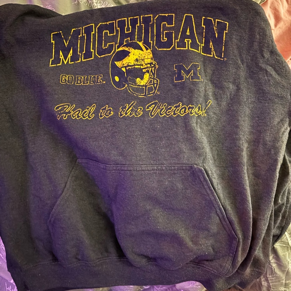Gildan Michigan Navy and Gold Hoodie
